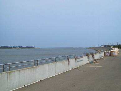 ����: G:\ipod\�k��2011\�j����\NEC_0017.JPG